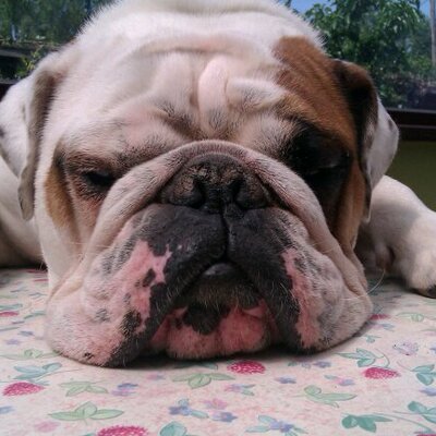 Profile Picture of Gavin Ferris (@BigGav1970) on Twitter