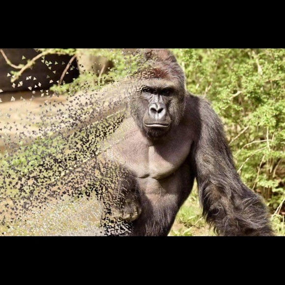 Profile Picture of Jacob Kusiak (@jkooz) on Poshmark