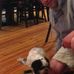 Profile Picture of Todd Mummert (Todd Woody Mummert) (@todd.mummert.1) on Facebook