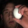Profile Picture of Matthew Knutsen (@@knutsey) on Tiktok