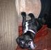 Profile Picture of Thomas Anson (@thomas.anson.777) on Facebook