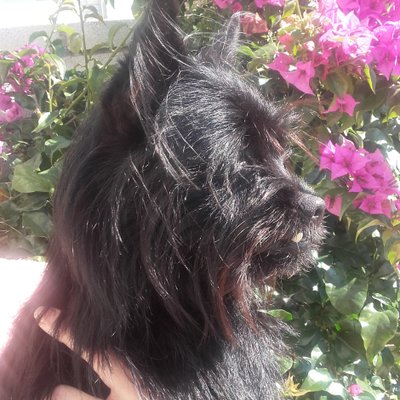 Francisco Alonso - Twitter Profile Picture of Francisco Alonso (@Fdal02) on Twitter