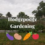 Profile Picture of Audrey Hodge (@hodgepodgegardening) on Instagram