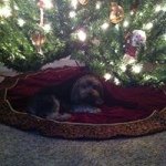 Profile Picture of Matthew Kalbfleisch (@hate_is_just_love) on Instagram