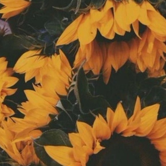 Profile Picture of Brittany Lasson (@b_lassom) on Poshmark