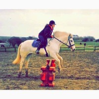 Profile Picture of Amy Pickersgill (@amy-pickersgill-1) on Quora