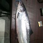 Profile Picture of Martin Corley (@martin.corley.12327) on Instagram