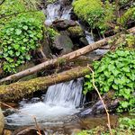 Profile Picture of James Blevins Jr. (@jr.jamesblevins) on Instagram