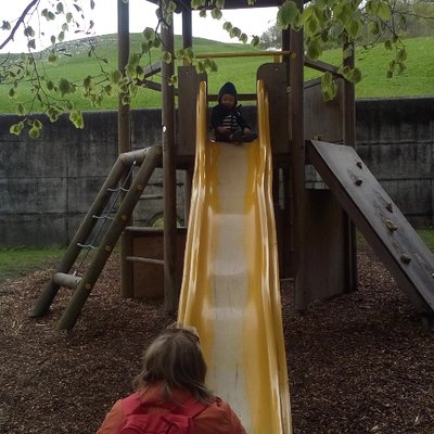 Profile Picture of  🔴Sophie Wagner  🔴 (@SCJWagner) on Twitter