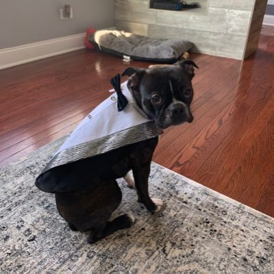 Profile Picture of Steve Yeomans (@ayeomans22) on Twitter