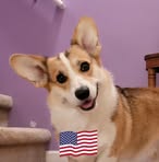 Profile Picture of Alyce Simonson (@alyce.simonson) on Facebook