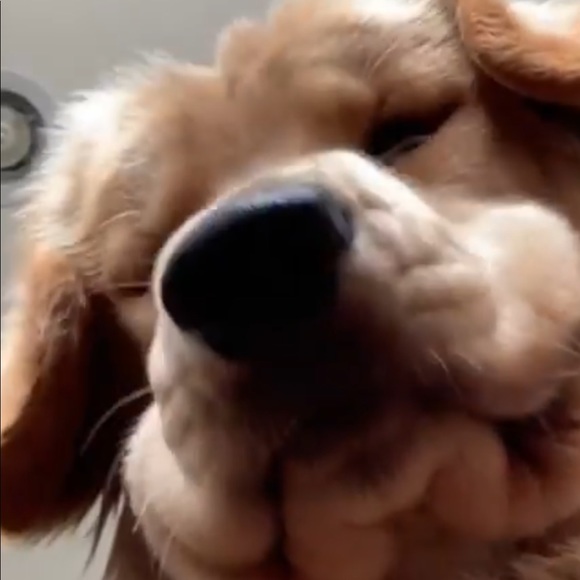 Profile Picture of Edward Day (@edwardday773) on Poshmark