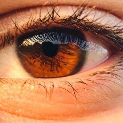 Profile Picture of Akram_abboud1 (@akram_abboud1) on Twitter