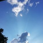 Profile Picture of Jeanine Wallace (@jeanine.wallace3) on Instagram