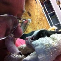 Dawn Andrews-winn - Quora Profile Picture of Dawn Andrews-winn (@dawn-andrews-winn) on Quora