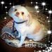 Profile Picture of Darren Driggers (@Darren-Driggers) on Facebook