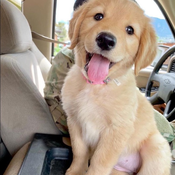 Keasha Bowen - Poshmark Profile Picture of Keasha Bowen (@keashabowen) on Poshmark