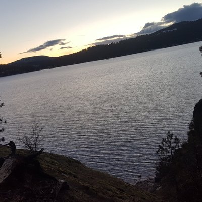 Profile Picture of Damien Spencer (@DamienSpencer16) on Twitter