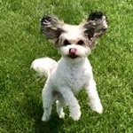 Profile Picture of la femme verte (@rayfortunee) on Instagram