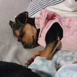 Profile Picture of Ethan Mccune (@ethanmccune09080) on Instagram