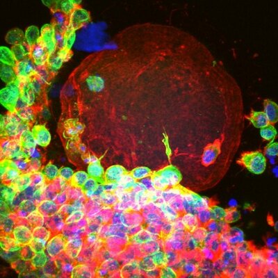 Profile Picture of Russell Duncan (@DookD) on Twitter