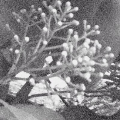 Profile Picture of Autumn Terry (@abelle311) on Twitter