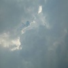 Profile Picture of Nicholas Irvin (@@nicholasirvin1) on Tiktok