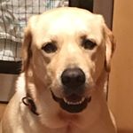 Profile Picture of David Schöngrundner (@david_schoengrundner) on Instagram