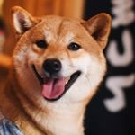 Profile Picture of alexandermeadecai (@alexandermeadecai) on Instagram