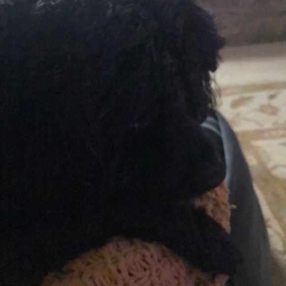 Profile Picture of Josi Gusky (@josigusky) on Poshmark