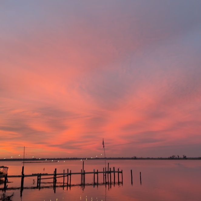 Profile Picture of Tanner.Fore (@tanner...08) on Tiktok