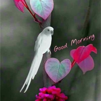 Profile Picture of Priyanka Bhattacharjee (@Priyank75566961) on Twitter