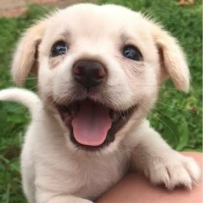 Profile Picture of Alphonso Jacobs (@AlphonsoJacobs3) on Twitter