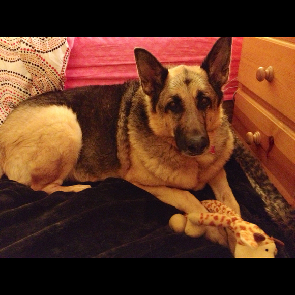 Profile Picture of Lisa Woolley (@hbbrat22) on Poshmark