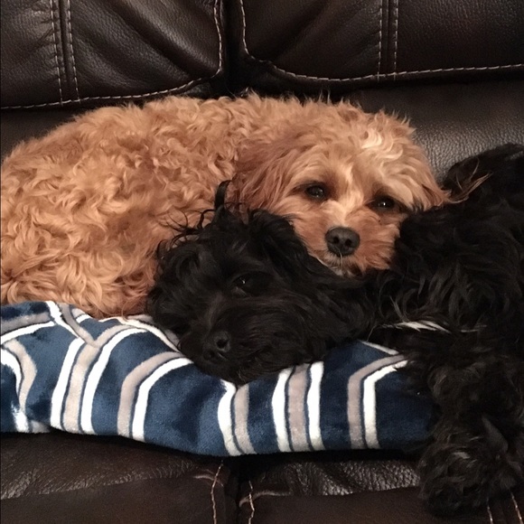 Claire Munafo - Poshmark Profile Picture of Claire Munafo (@cmunafo4) on Poshmark