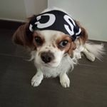 Profile Picture of Elisa Pompilio (@pompilioelisa) on Instagram