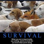 Marshall Powell - Instagram Profile Picture of Marshall Powell (@elfnman) on Instagram