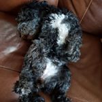 Profile Picture of James Earp (@_kozicki) on Instagram