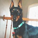 Profile Picture of Jade Padilla (@jadison.padilla) on Instagram