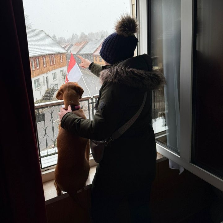 Profile Picture of Paola Freiberger (@paola.freiberger) on Tiktok