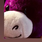 Profile Picture of Joseph Hammer (@demented_poney) on Instagram