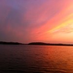 Profile Picture of Alice Lawson (@alicat943) on Instagram