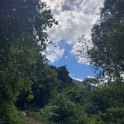 Profile Picture of Rong Cheng Chng (@an963) on Twitter