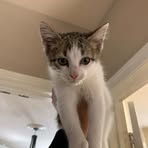 Profile Picture of Jason Fetkovich (@jason.fetkovich) on Facebook