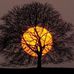 Profile Picture of Pegah Rajabi (@pegah.rajabi.568) on Facebook