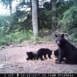 Profile Picture of Jim Brenner (@jim.brenner.3979) on Instagram