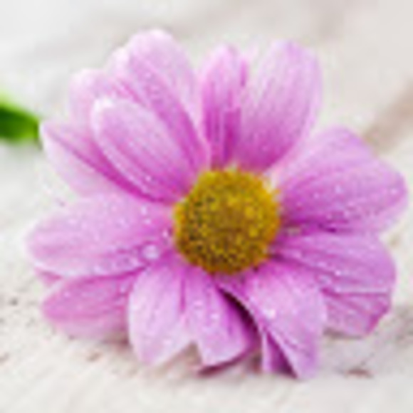 Miriam Borrero - Poshmark Profile Picture of Miriam Borrero (@miriamborrero12) on Poshmark