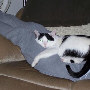 Rodney Heck - Myspace Profile Picture of Rodney Heck (@heckstang) on Myspace