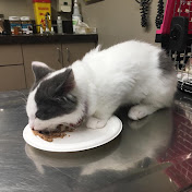 Profile Picture of Stella Morrison (@Stella-Violet.Morrison) on Youtube