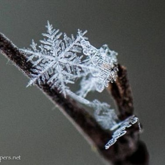 Profile Picture of Victoria Murata (@victoriamurata) on Poshmark